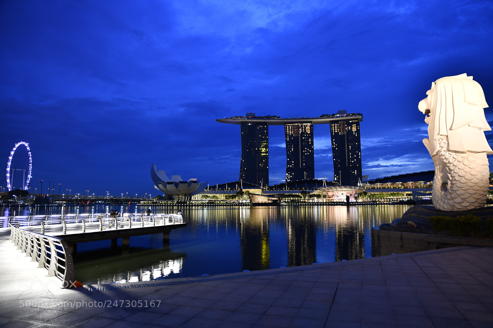 Nikon D850 sample photo. Merlion photography