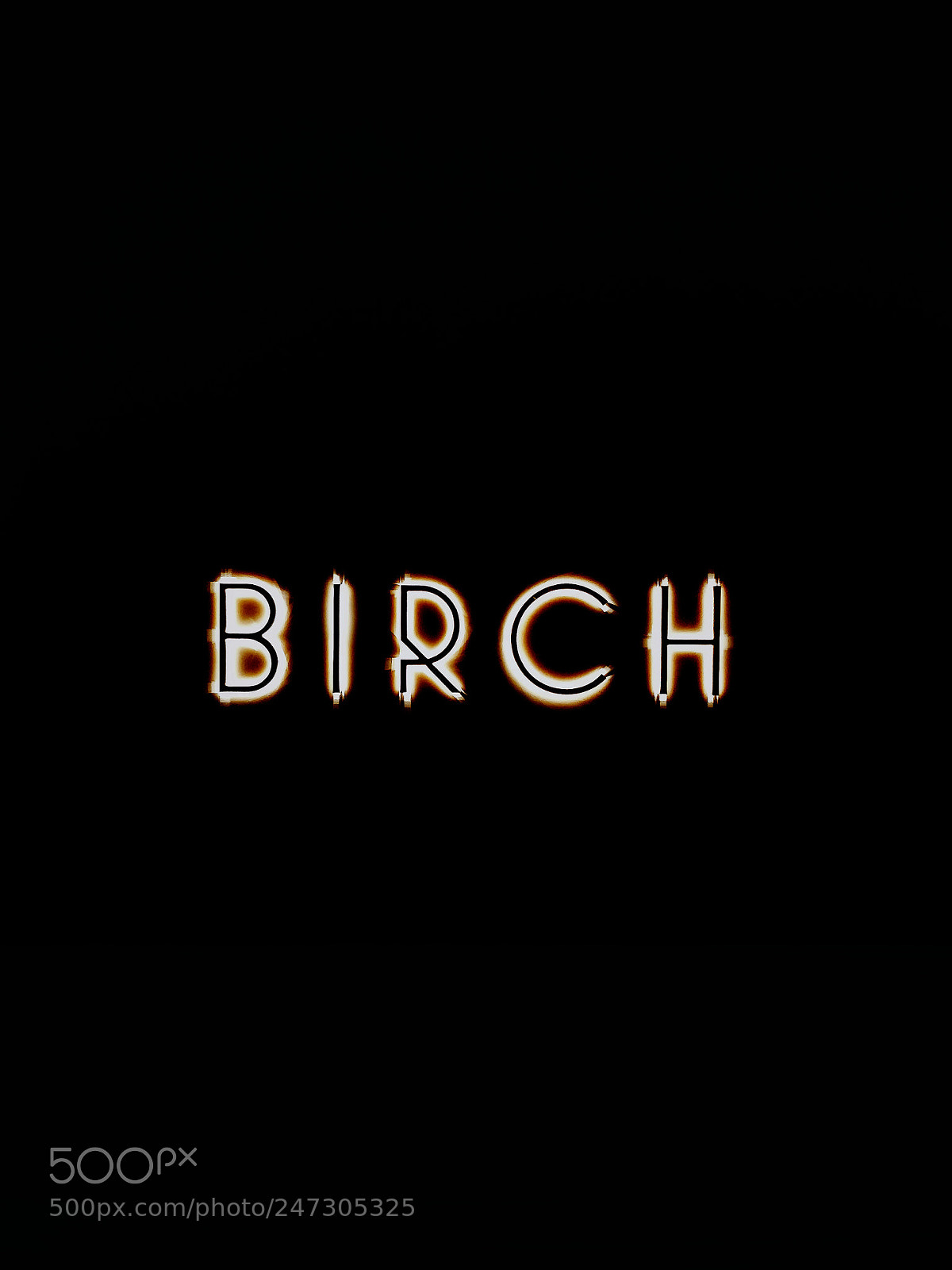 OnePlus 5 sample photo. Birch photography
