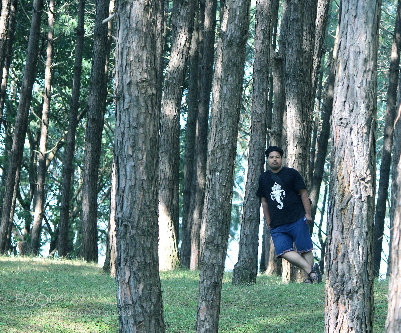 Canon EOS 600D (Rebel EOS T3i / EOS Kiss X5) sample photo. Woods and moods, swinging photography
