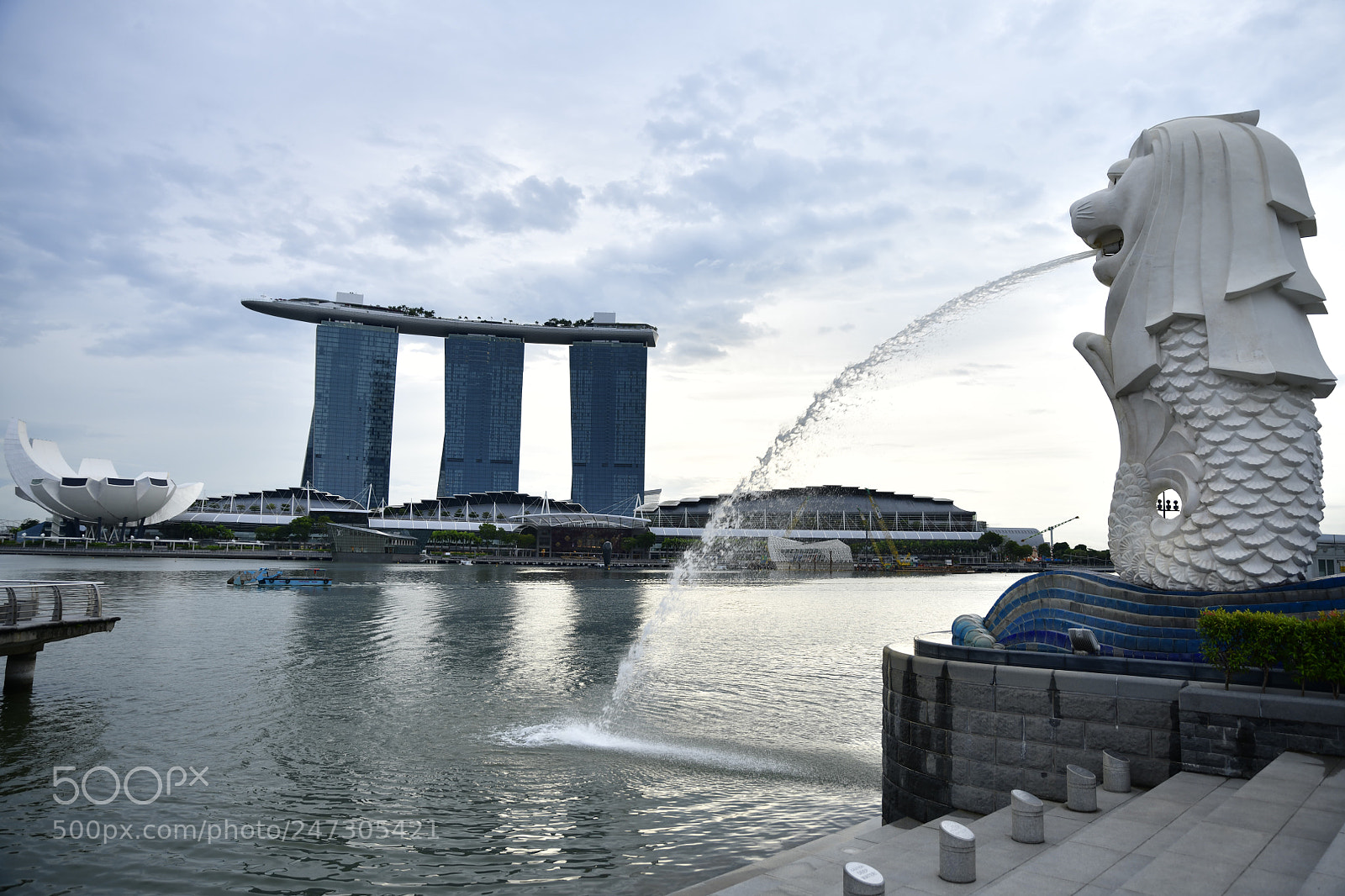 Nikon D850 sample photo. Merlion, mbs photography