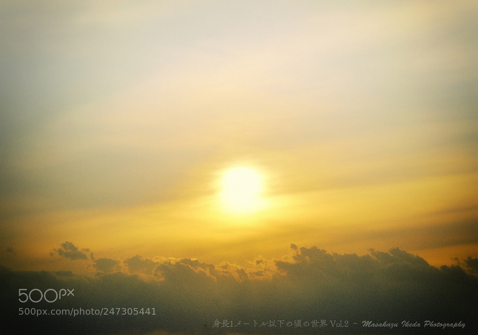 Nikon D90 sample photo. A world under 1 photography