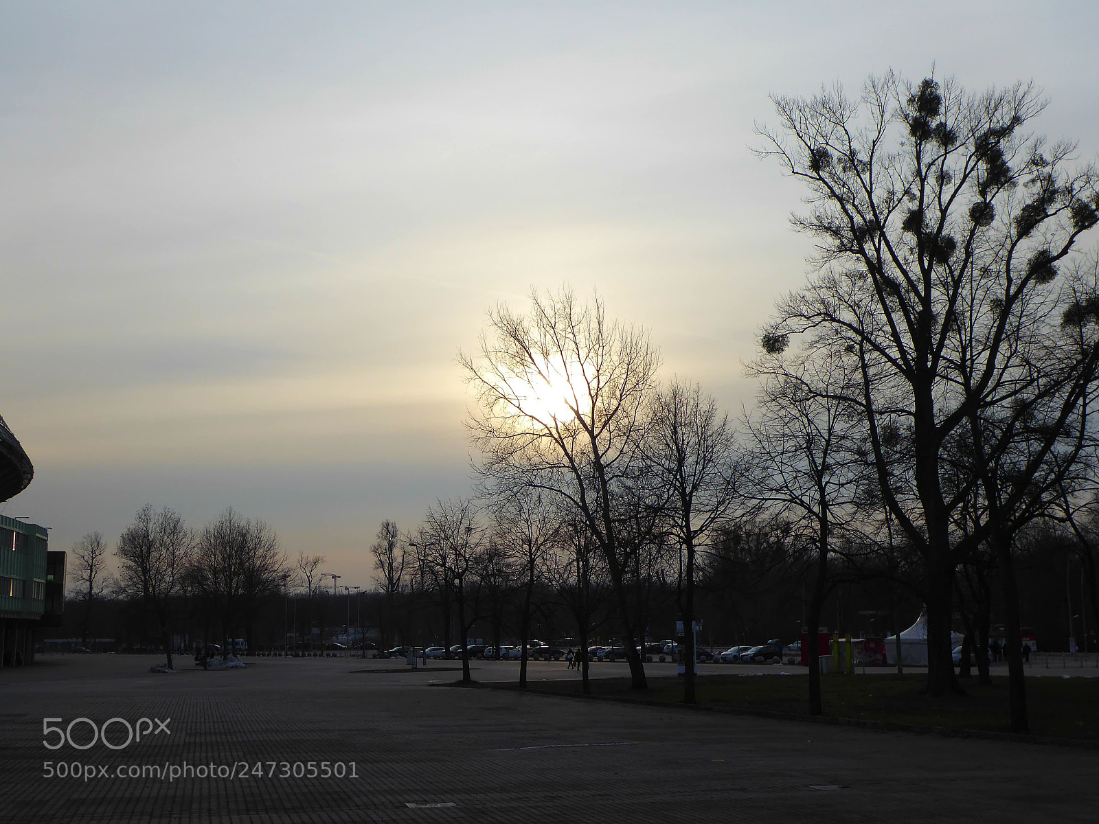 Panasonic DMC-TZ71 sample photo. Winter_sun photography