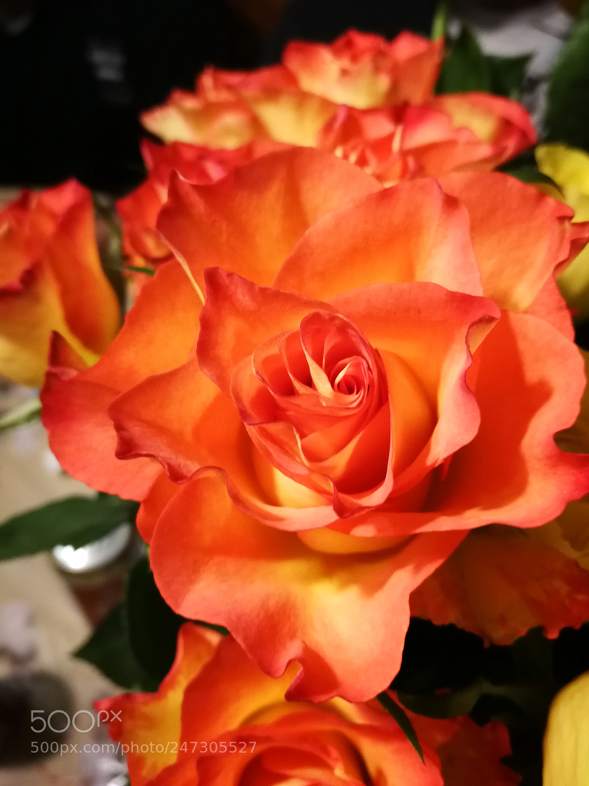 HUAWEI P10 sample photo. Untitled photography