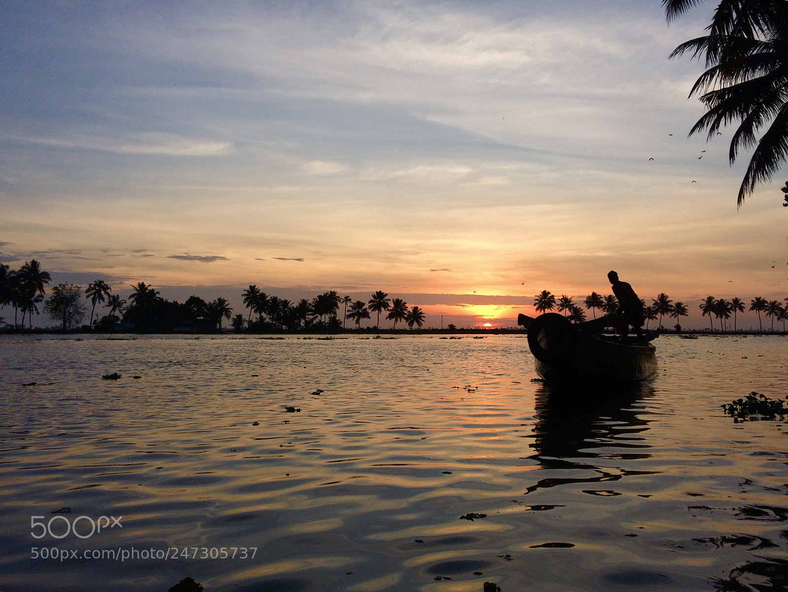 Apple iPhone 5s sample photo. Kuttanad [iphone] photography