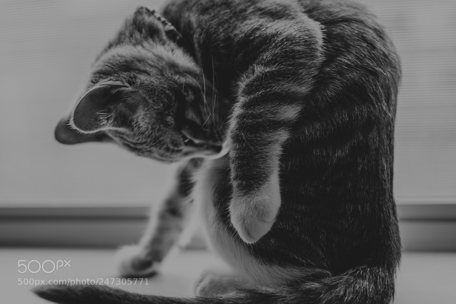 Fujifilm X-T20 sample photo. Not sure? photography