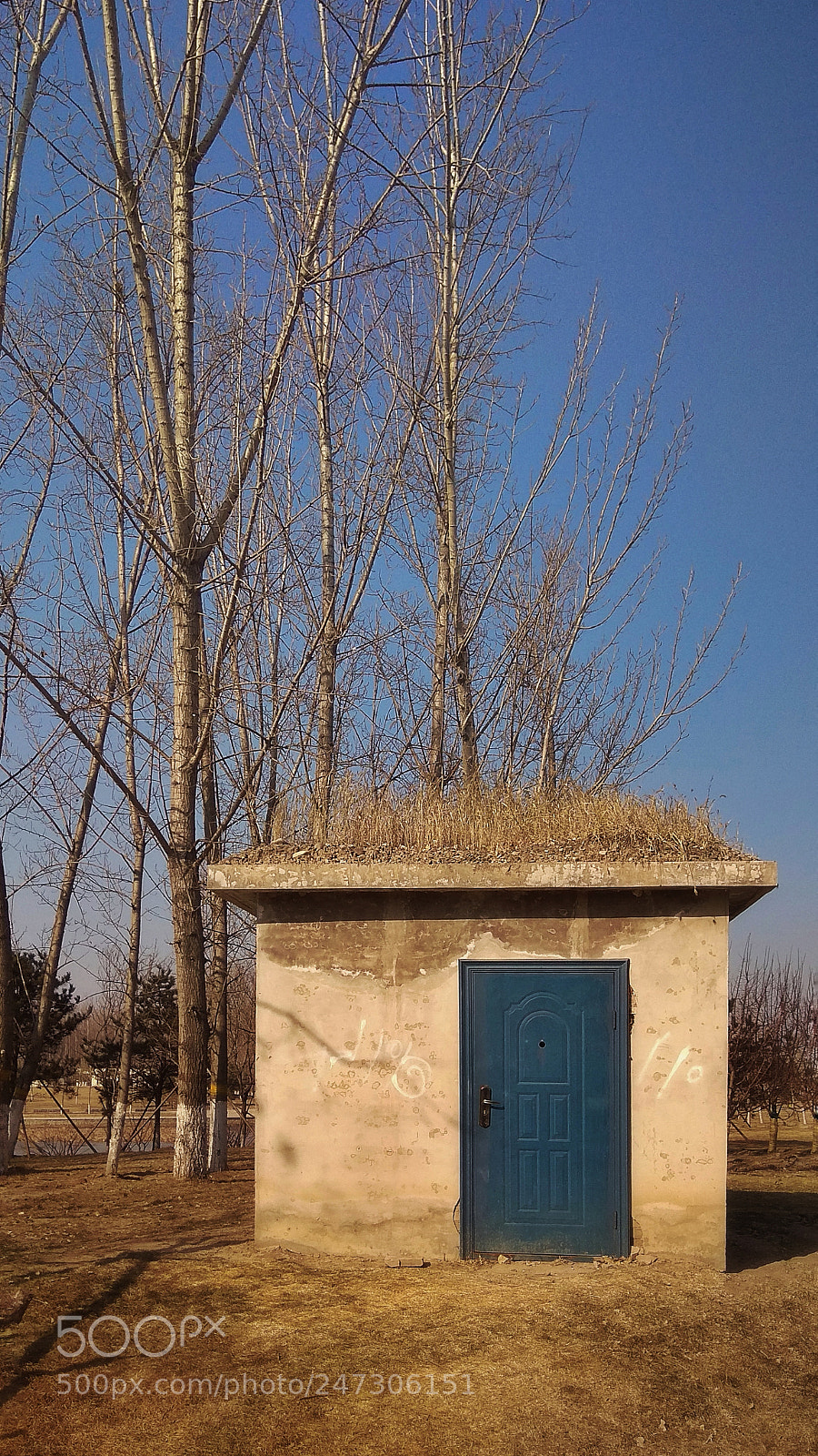 Xiaomi Redmi Note 4X sample photo. 7 photography