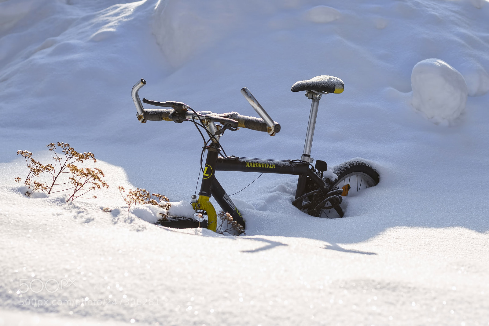 Nikon D610 sample photo. Winter bike bicycle photography