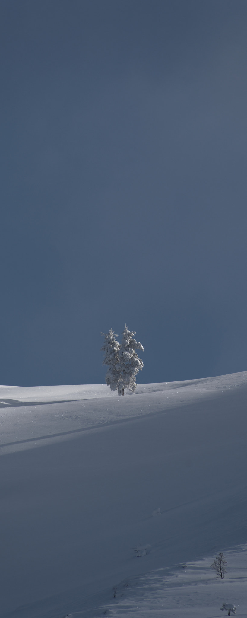 Nikon D500 sample photo. Mountain snow photography