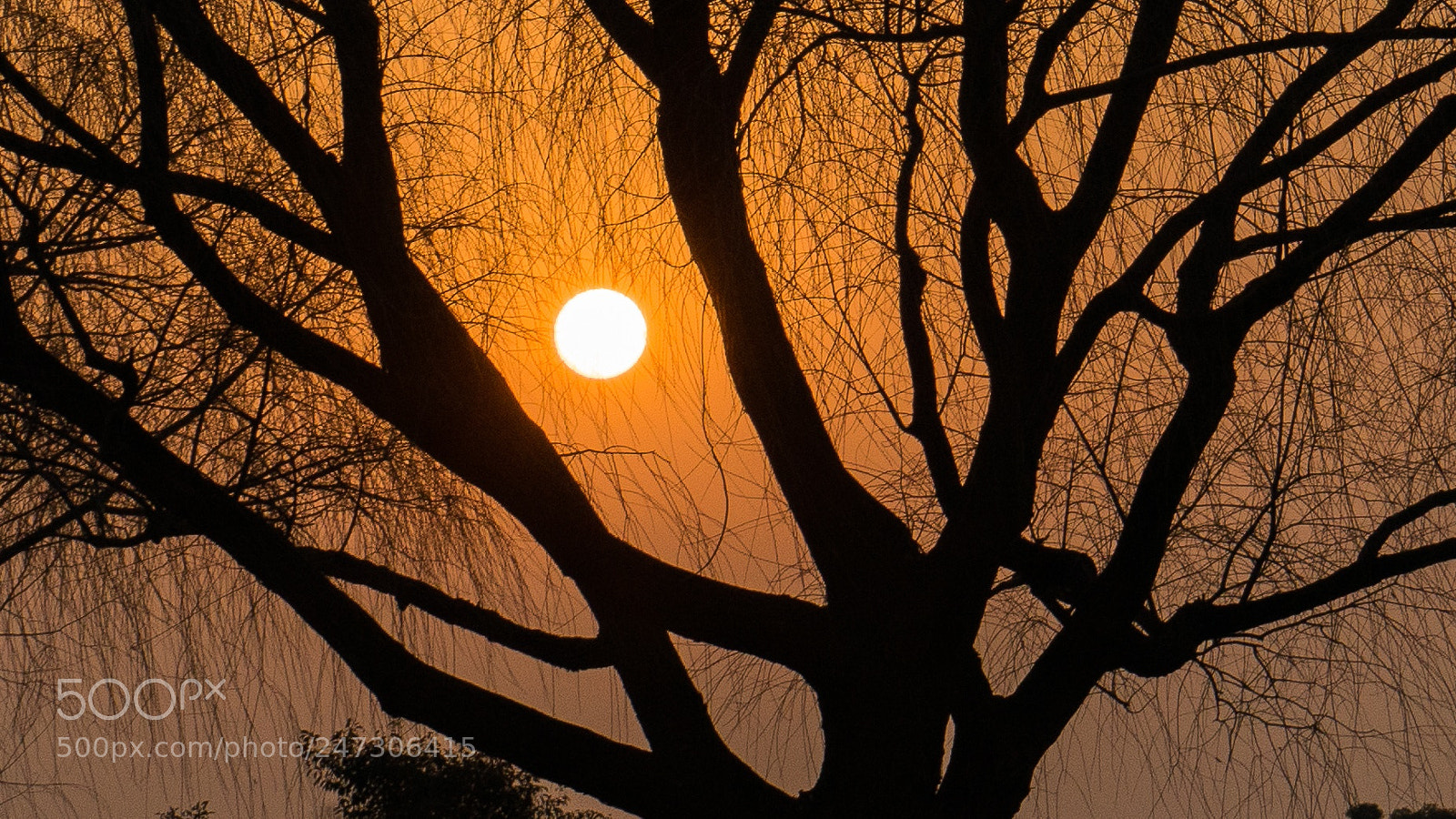 Sony a7 sample photo. Sunset photography