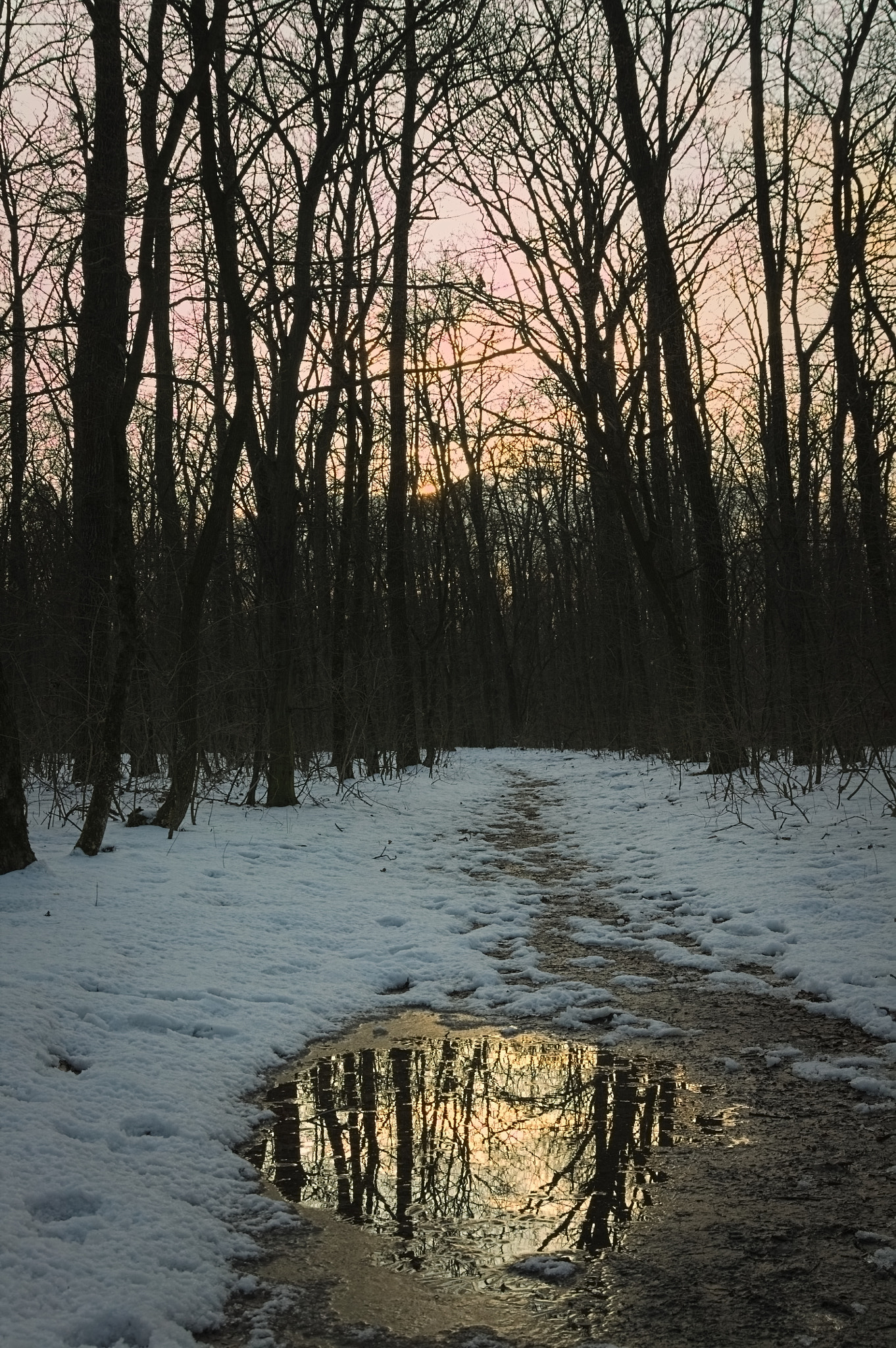 Sigma 17-70mm F2.8-4 DC Macro OS HSM sample photo. Winter's mirror photography