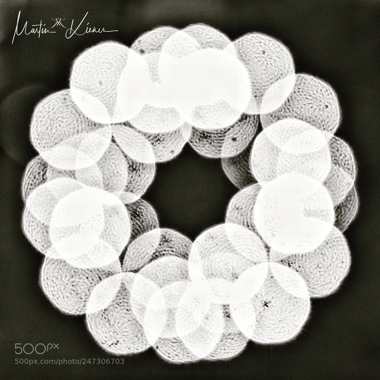 Olympus OM-D E-M1 Mark II sample photo. Circles of light photography