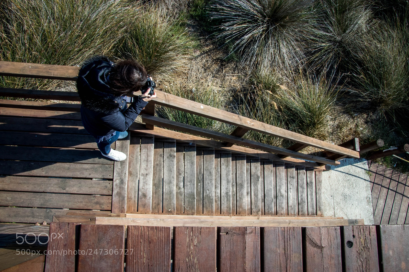 Canon EOS 77D (EOS 9000D / EOS 770D) sample photo. Sequia major nena photography
