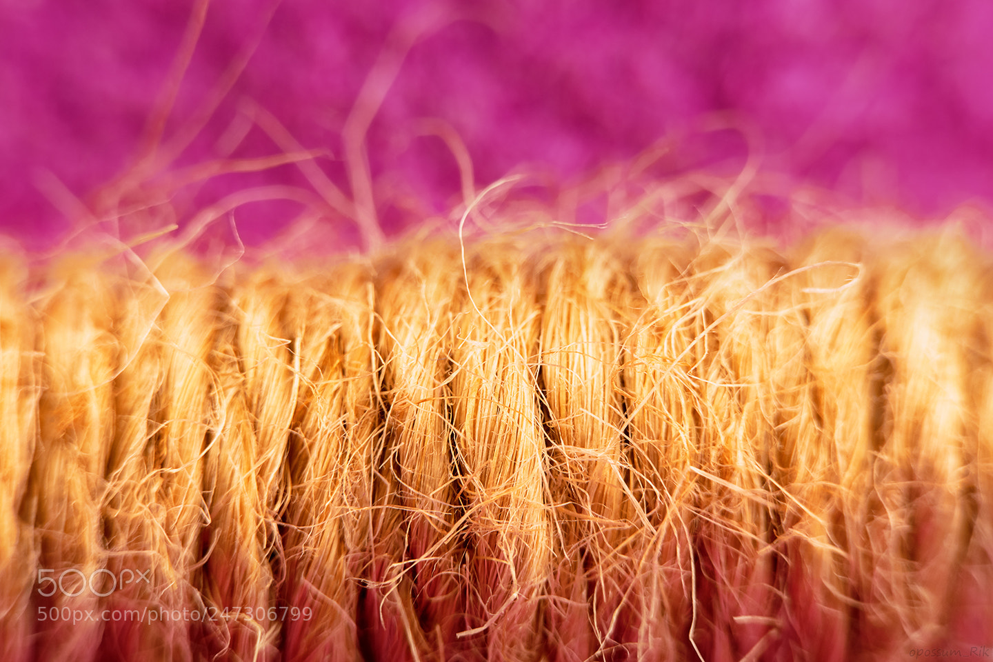 Panasonic Lumix DMC-FZ1000 sample photo. Twine macro photography