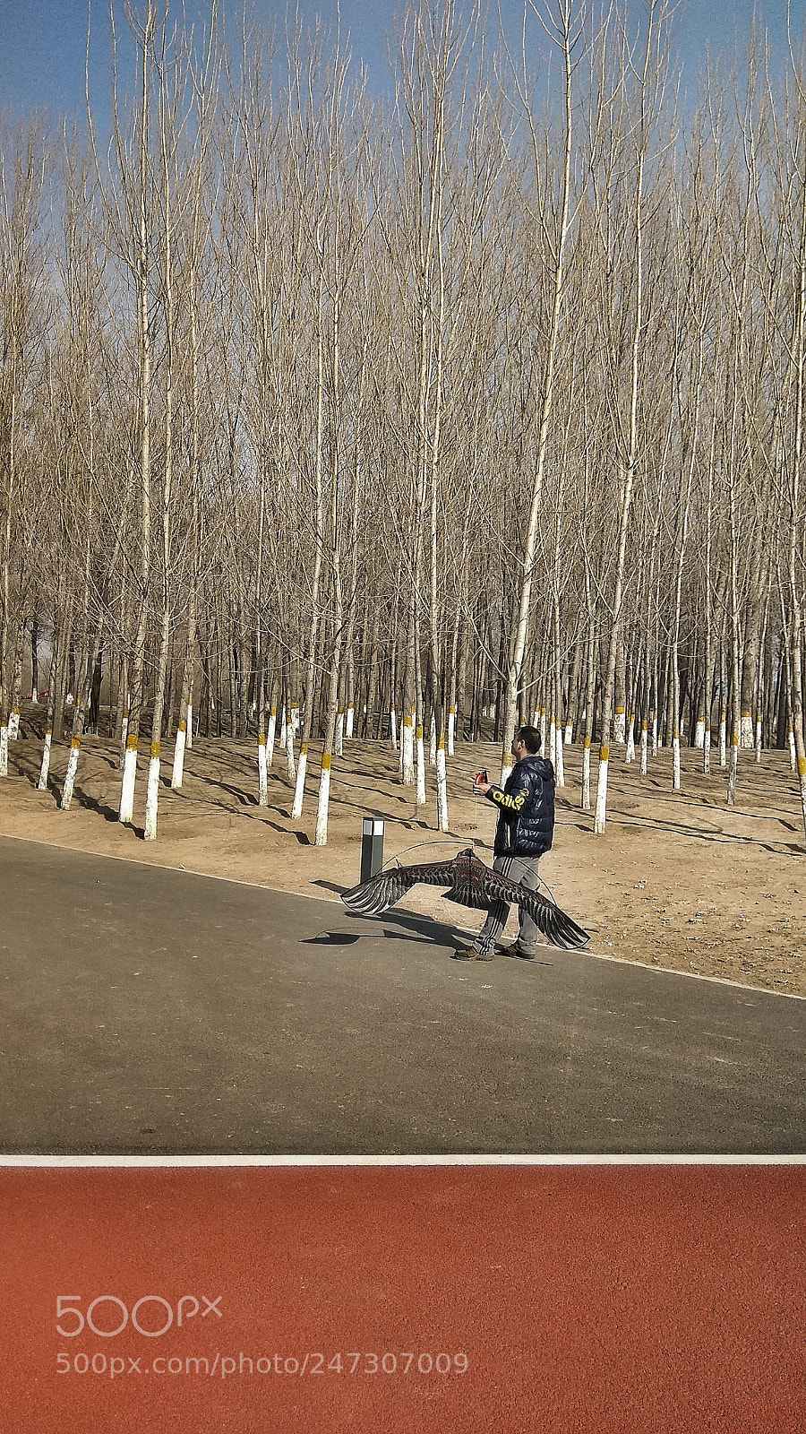Xiaomi Redmi Note 4X sample photo. 8 photography