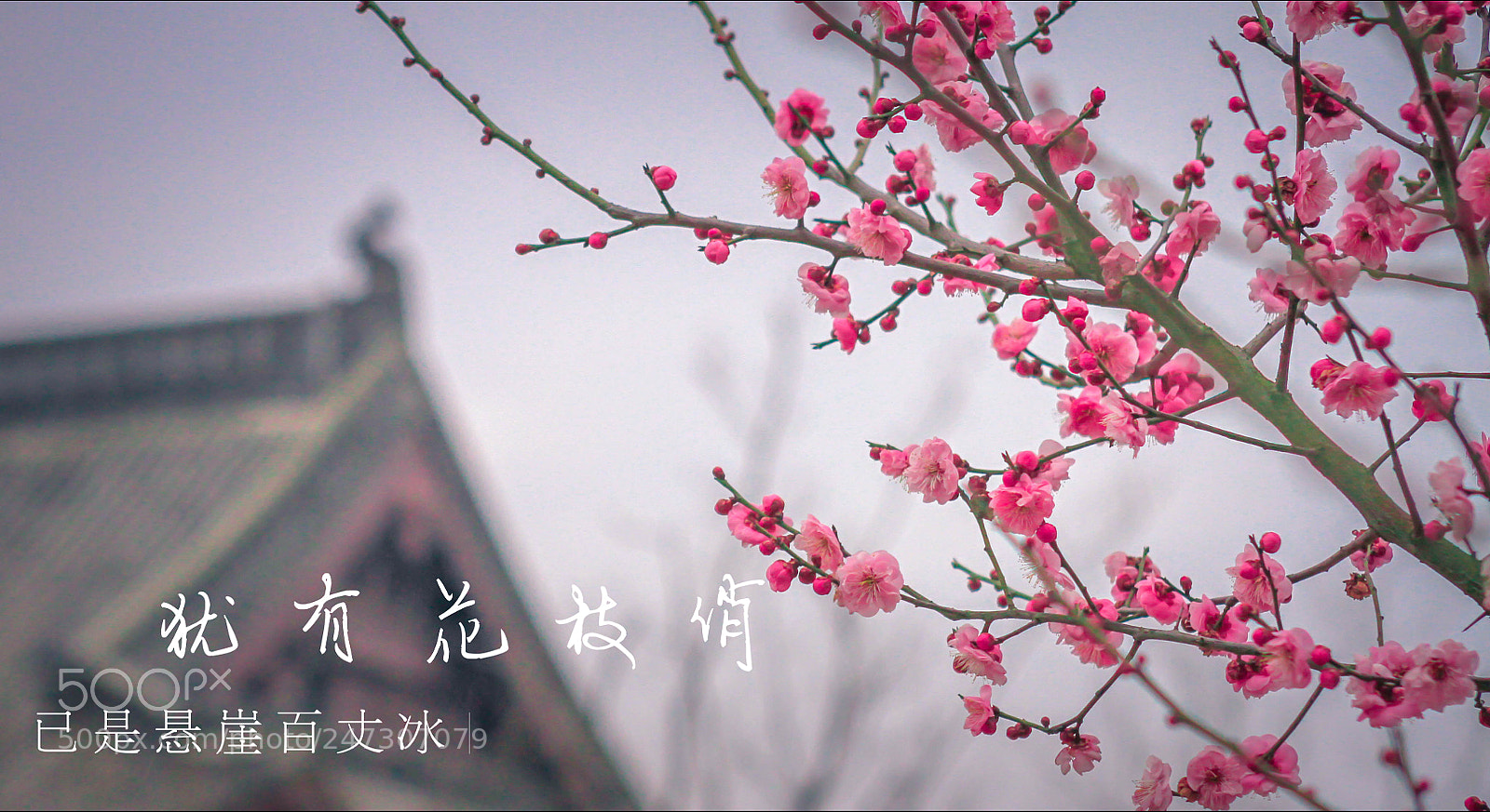Canon EOS 7D sample photo. Untitled photography