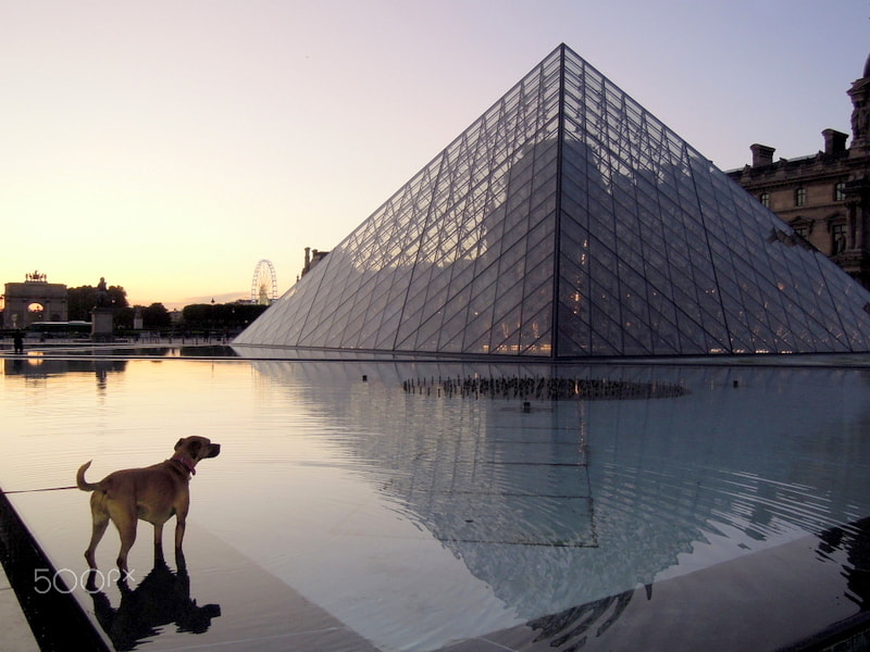 Nikon Coolpix P300 sample photo. An encounter at le louvre photography