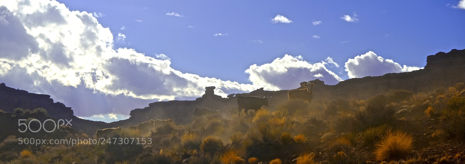 Fujifilm X-T2 sample photo. Arizona photography