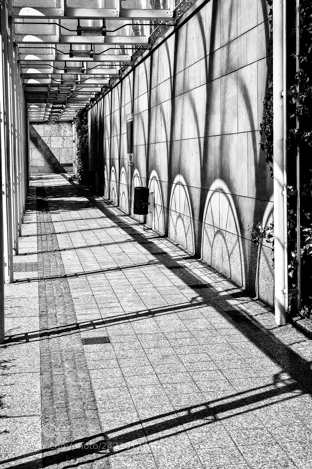 Sony Alpha NEX-5 sample photo. Laubengang photography