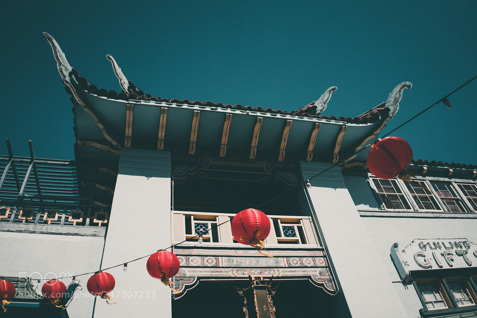 Sony a7R III sample photo. Year of the dog photography