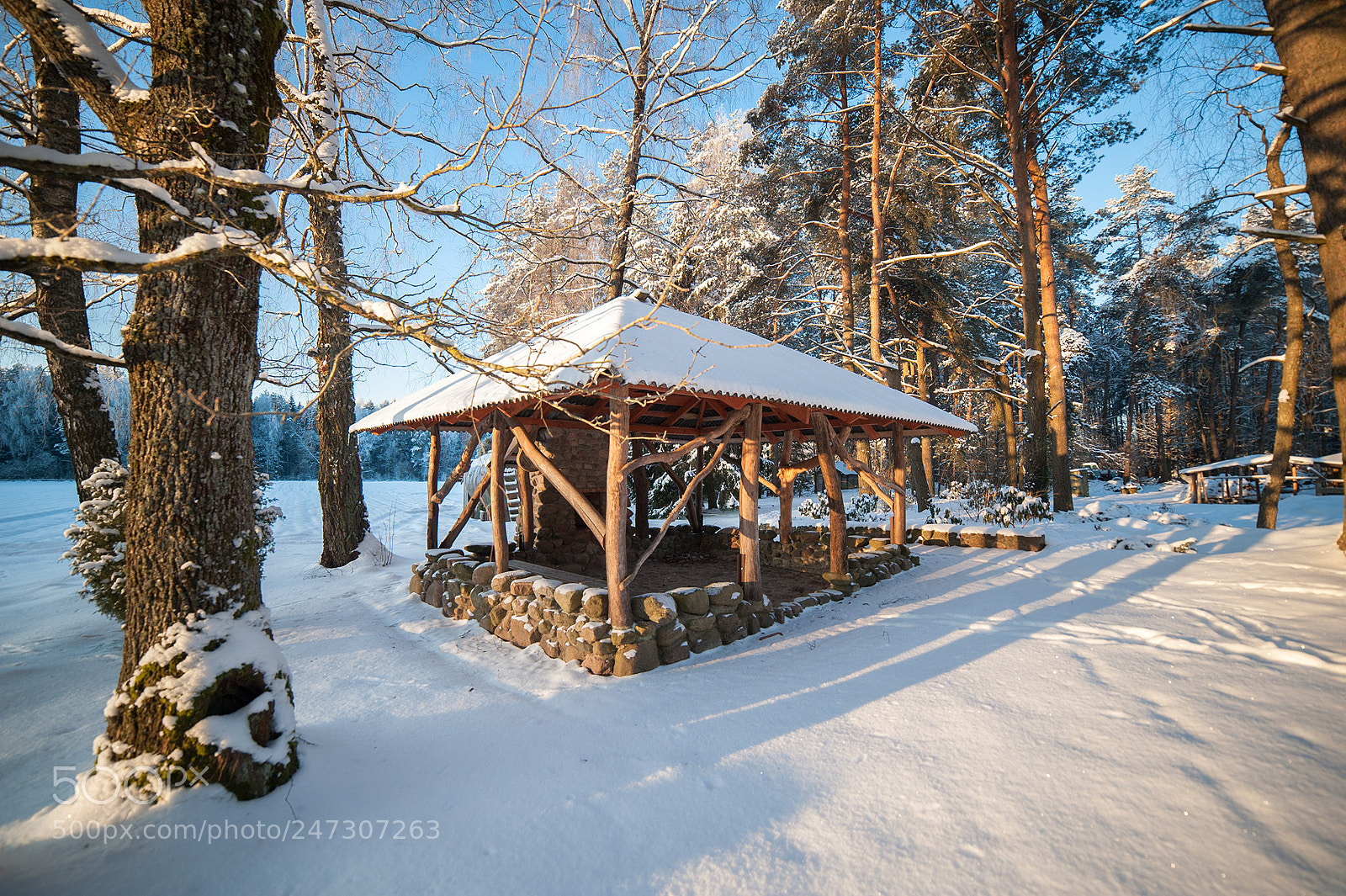 Nikon D3 sample photo. Winter photography