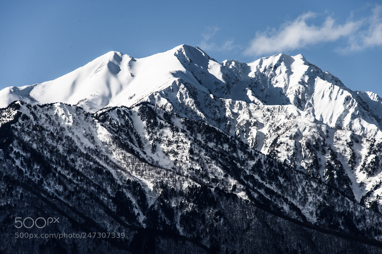 Nikon D800 sample photo. Mt.jiigatake(爺ヶ岳) photography