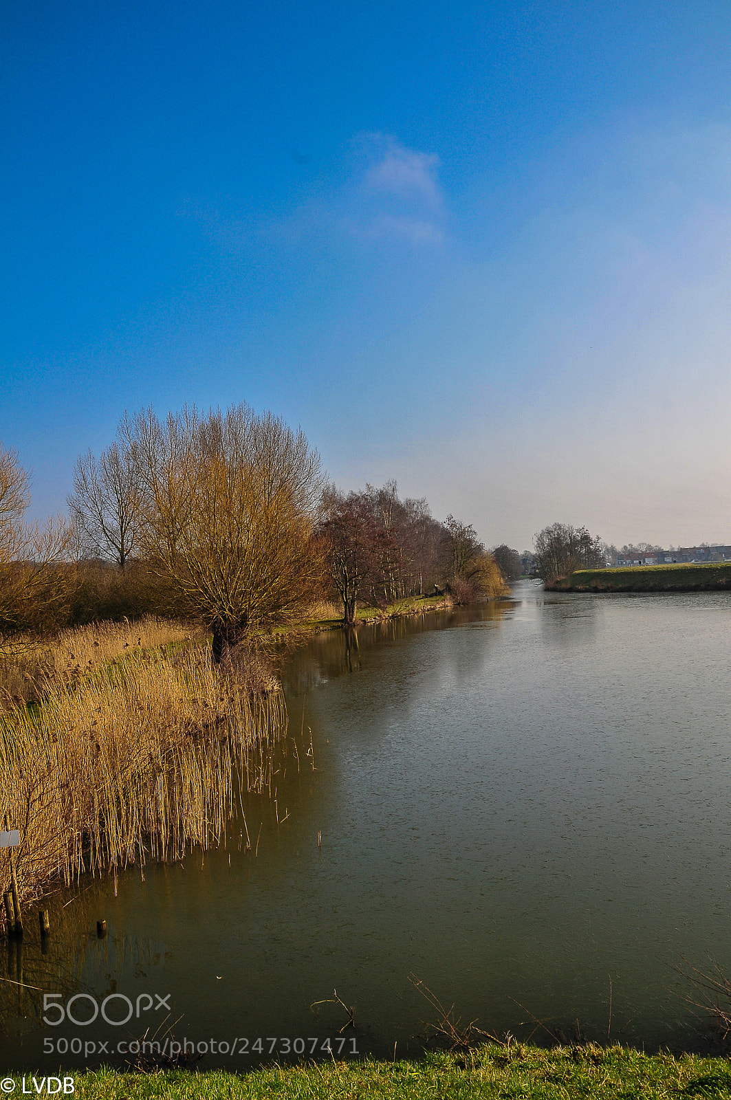 Nikon D300 sample photo. Enjoy nature photography