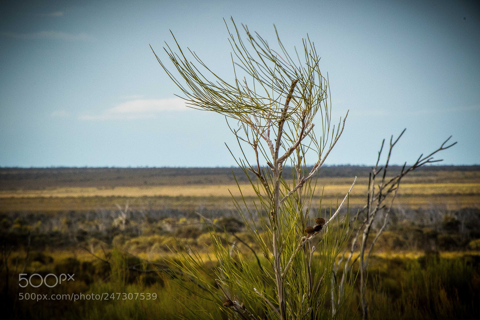 Canon EOS 7D Mark II sample photo. Outback views photography