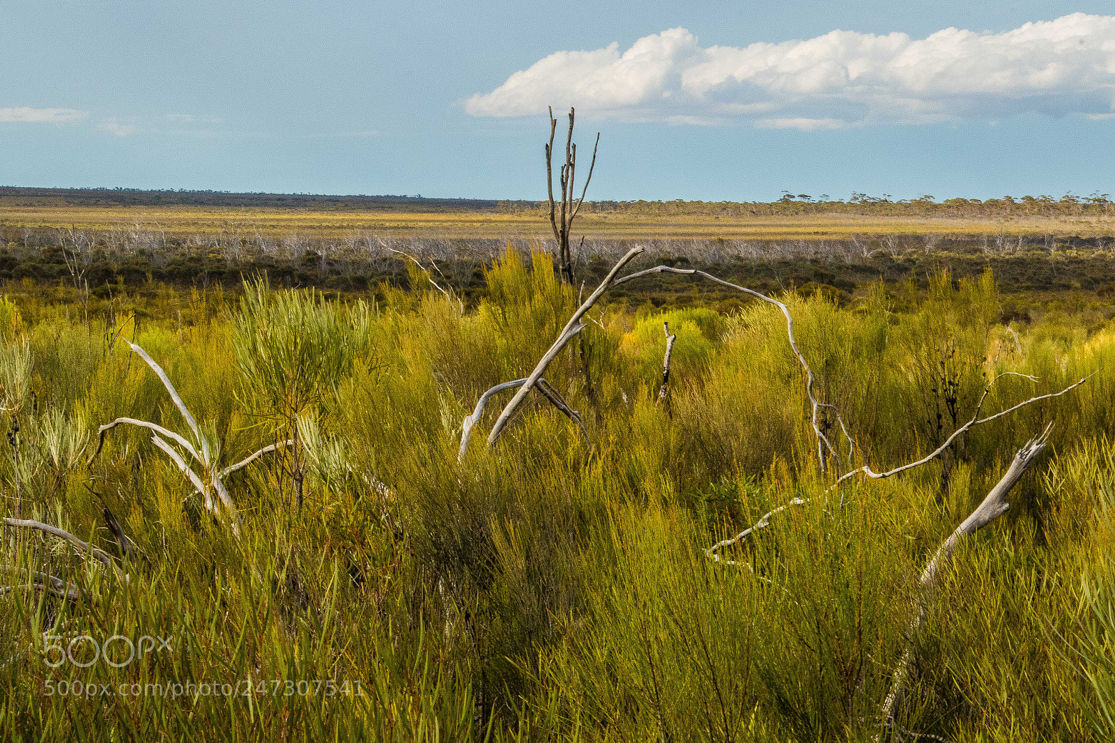 Canon EOS 7D Mark II sample photo. Outback views photography