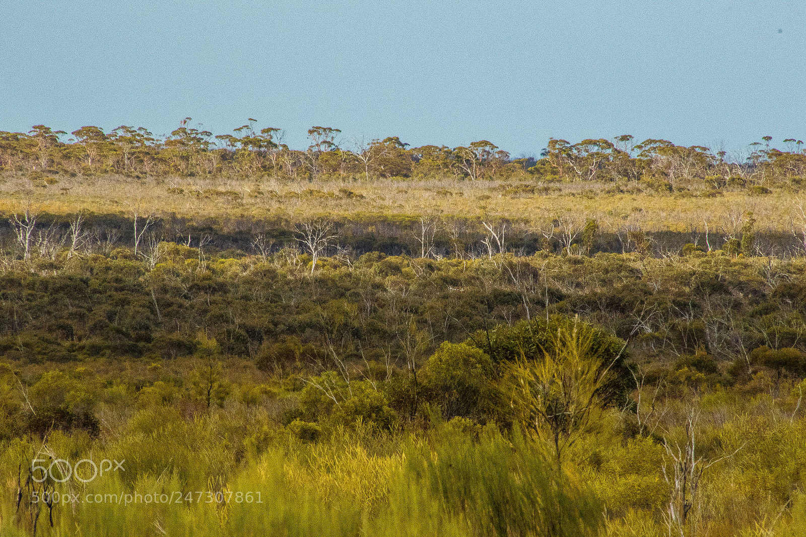 Canon EOS 7D Mark II sample photo. Outback views photography