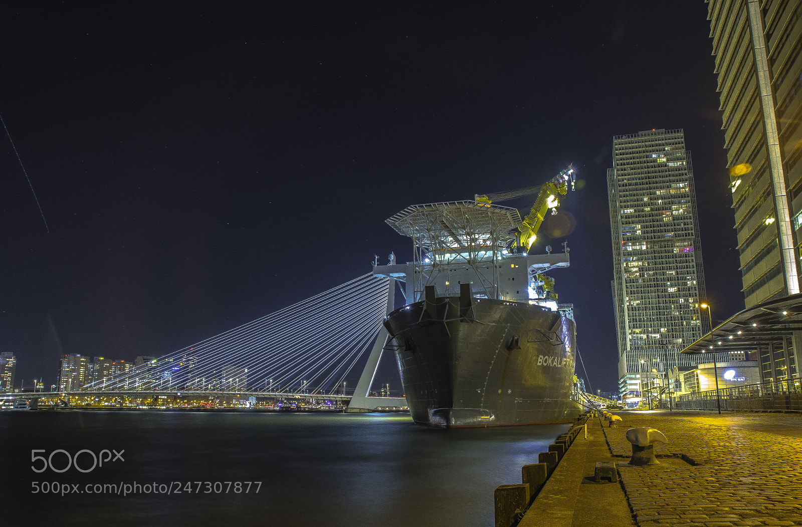 Nikon D500 sample photo. Rotterdam erasmusbrug photography