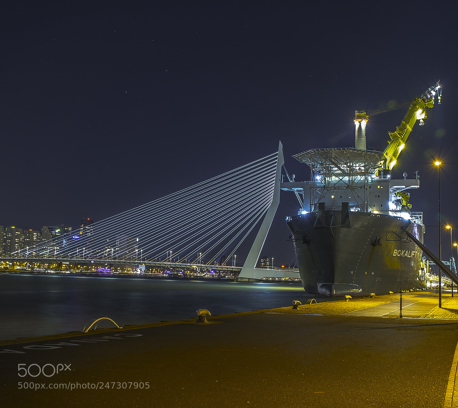 Nikon D500 sample photo. Rotterdam erasmusbrug photography