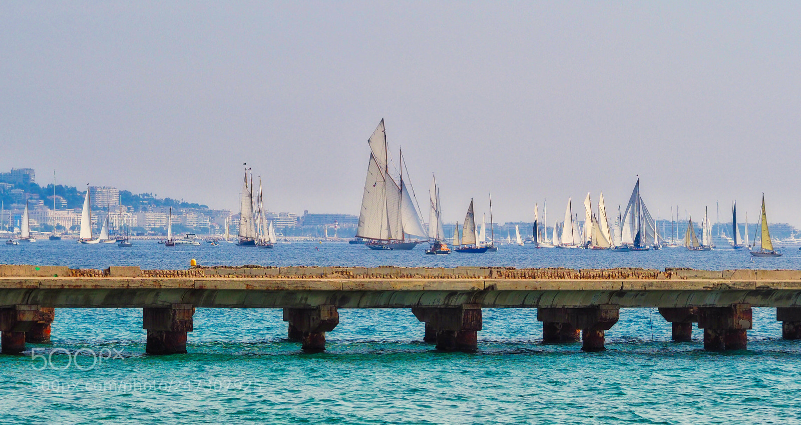 Olympus OM-D E-M1 Mark II sample photo. Annual yacht event in photography