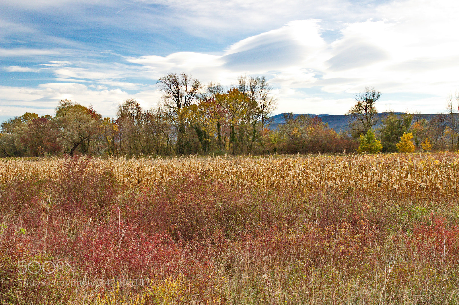 Canon EOS 700D (EOS Rebel T5i / EOS Kiss X7i) sample photo. Nature photography