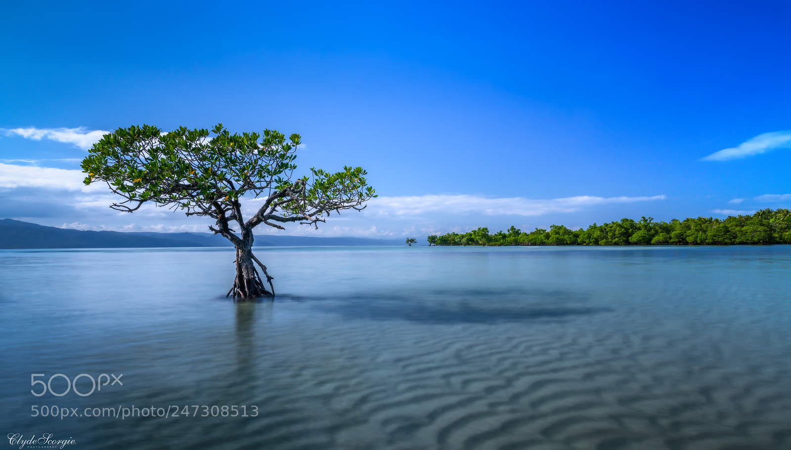 Nikon D810 sample photo. Cagbalete island photography