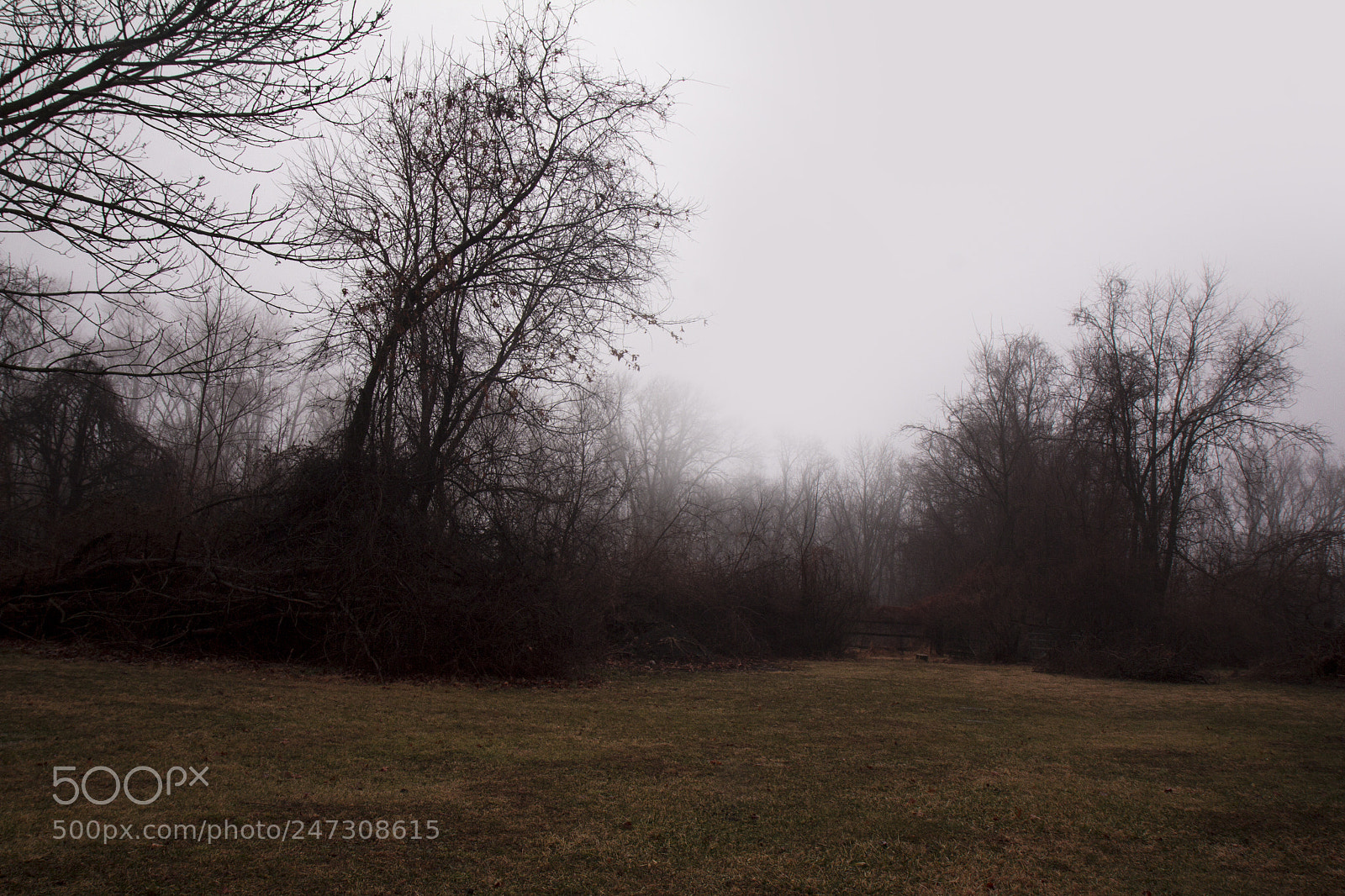 Canon EOS 60D sample photo. Untitled photography