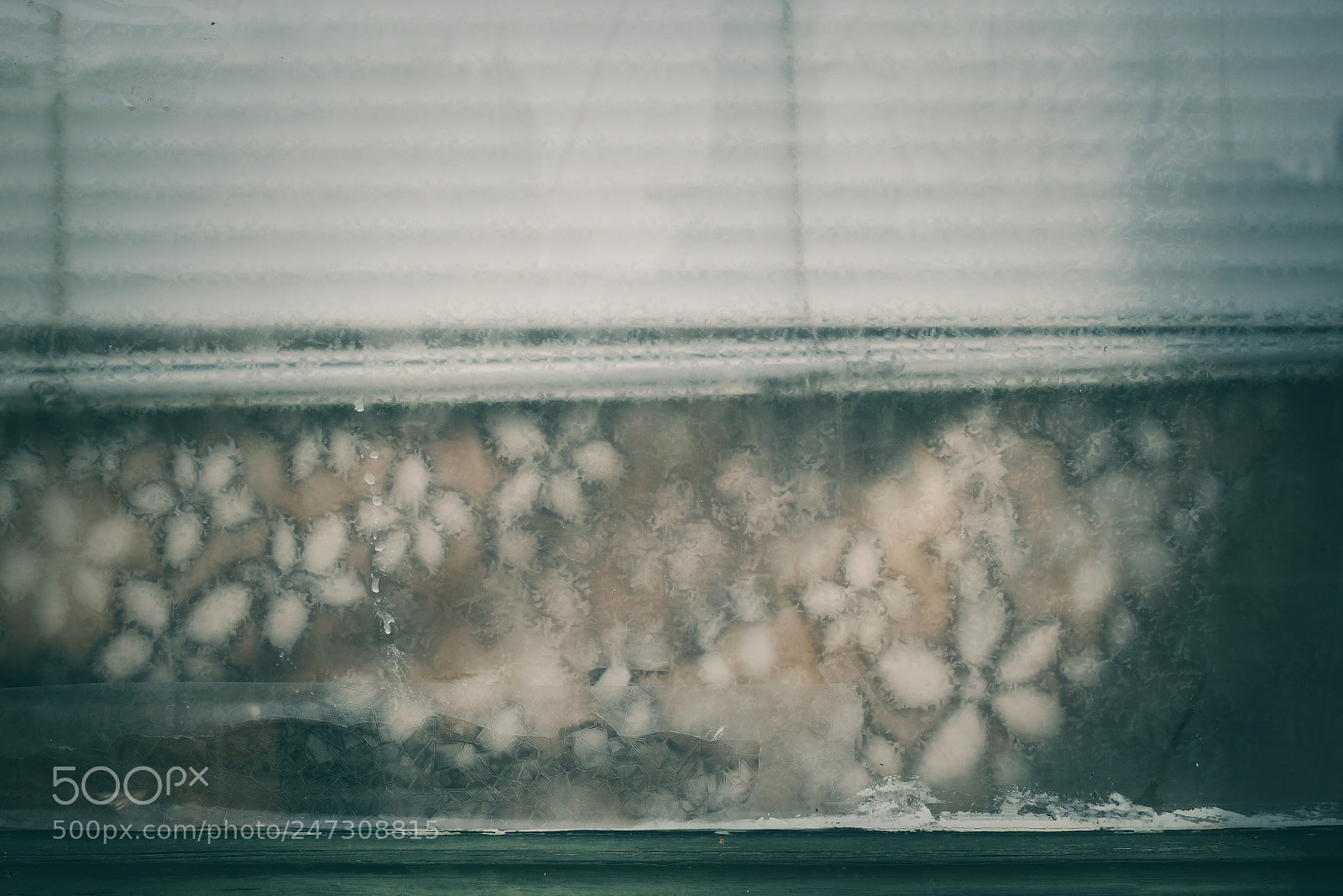Nikon D7500 sample photo. A blanket against the photography