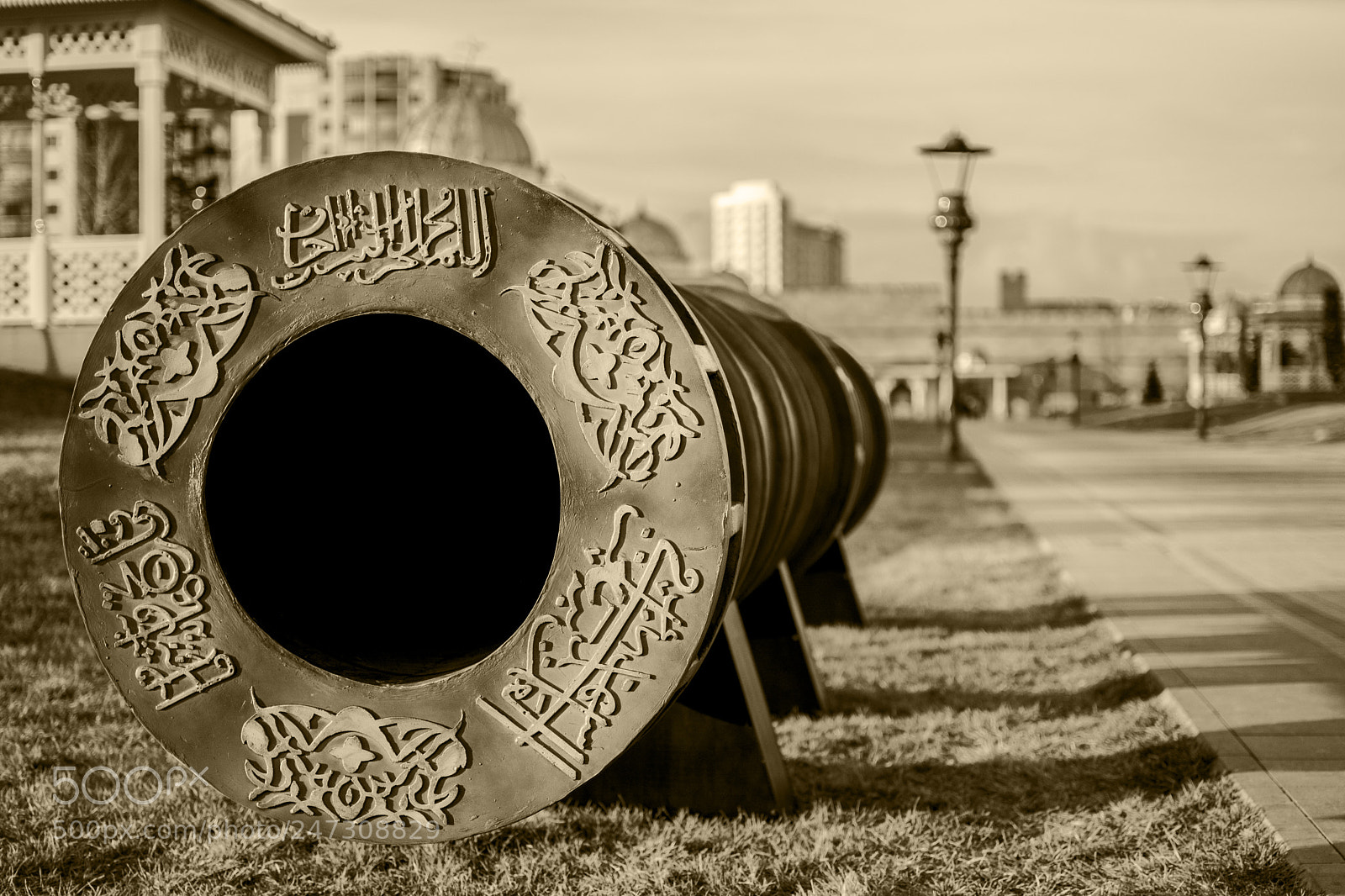 Nikon D7100 sample photo. şahi_gun.jpg photography
