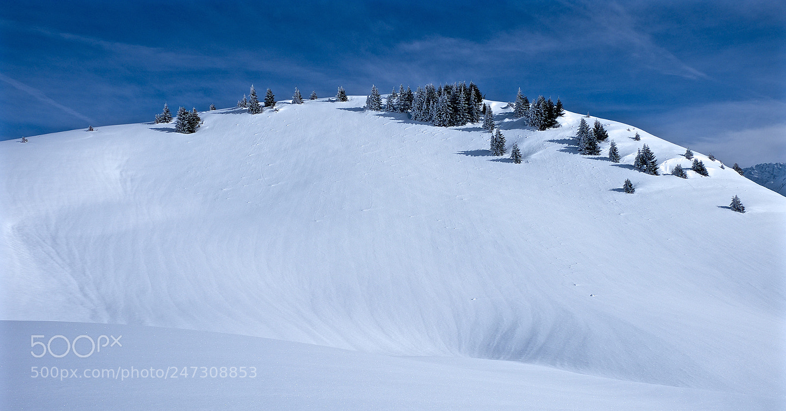 Fujifilm X-T1 sample photo. Winter photography