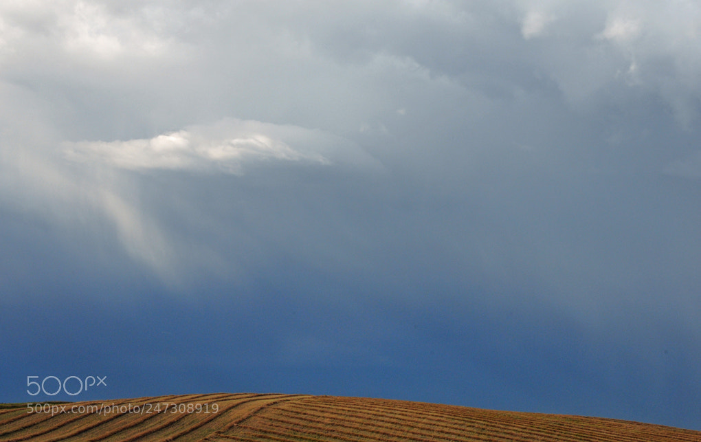 Nikon D300 sample photo. Probable rain photography