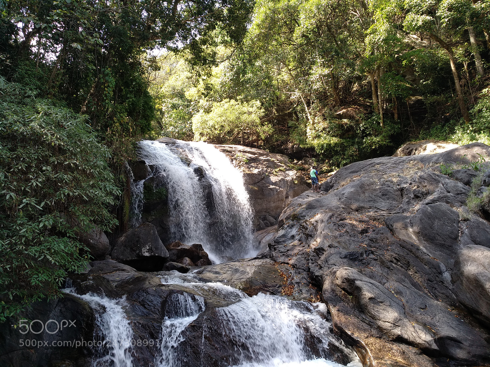 Xiaomi MI MAX 2 sample photo. Untitled photography