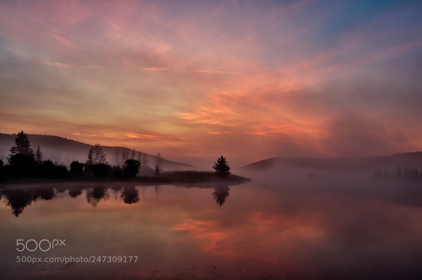 Nikon D300 sample photo. Morning mist photography