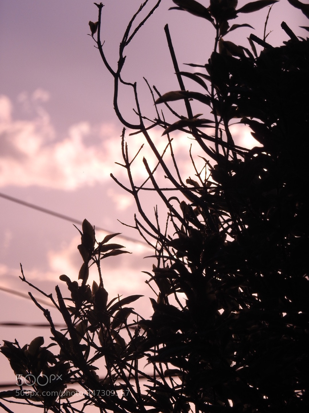 Nikon Coolpix P900 sample photo. Late afternoon, australia photography