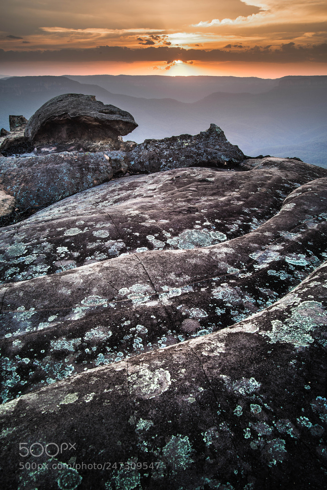 Pentax K-1 sample photo. Lichen sunset (2) photography