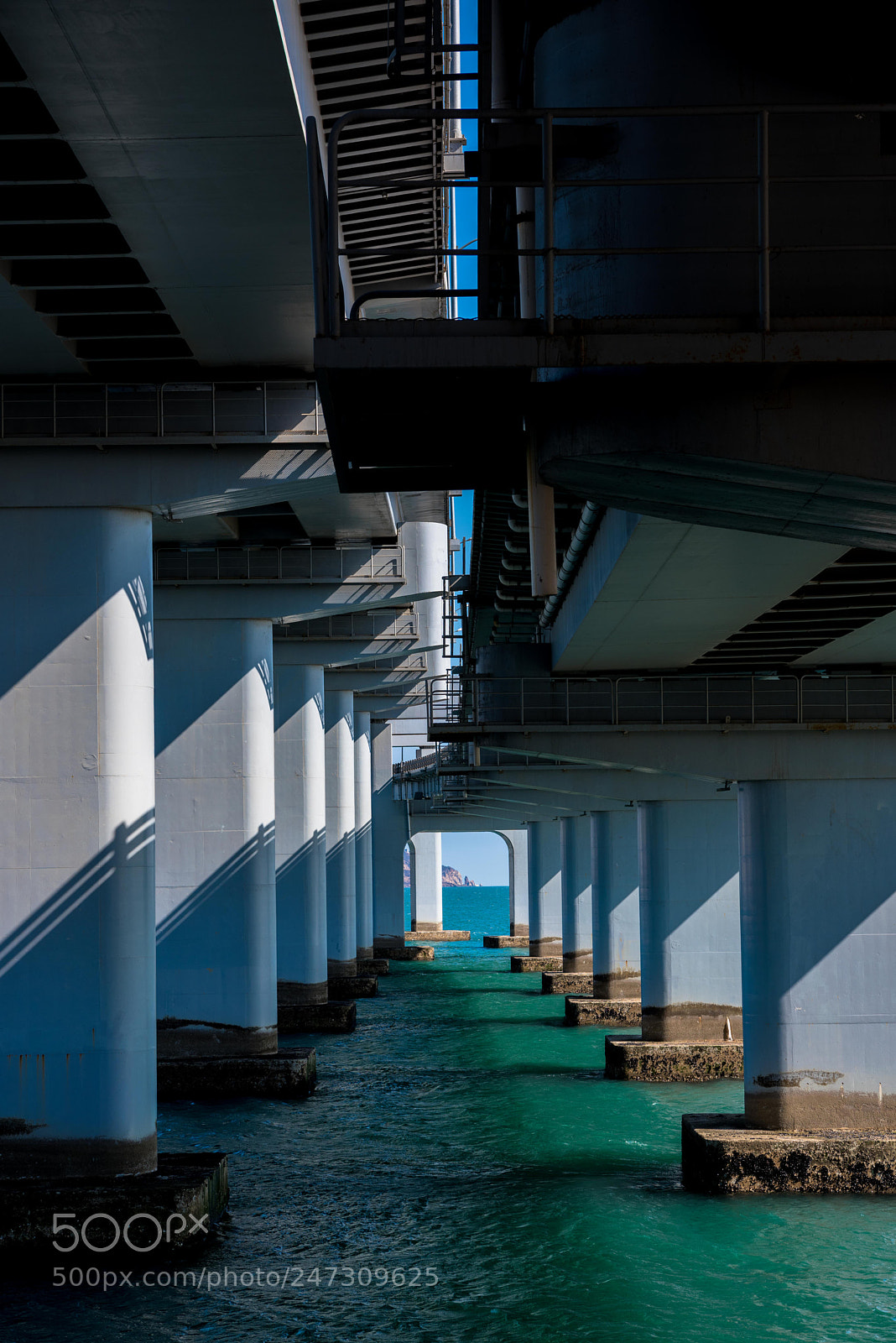 Nikon D810 sample photo. Untitled photography