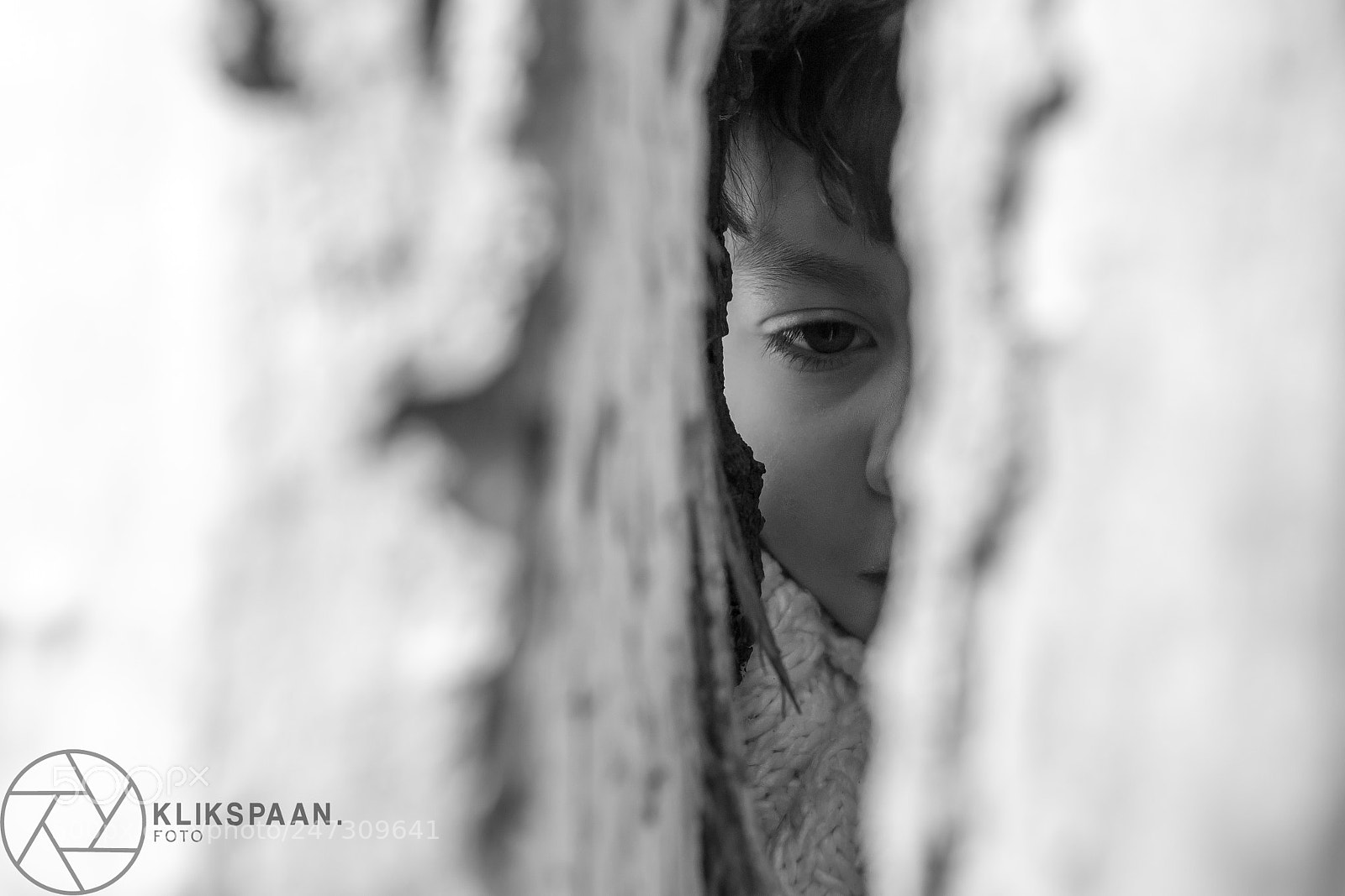 Canon EOS 6D Mark II sample photo. Untitled photography