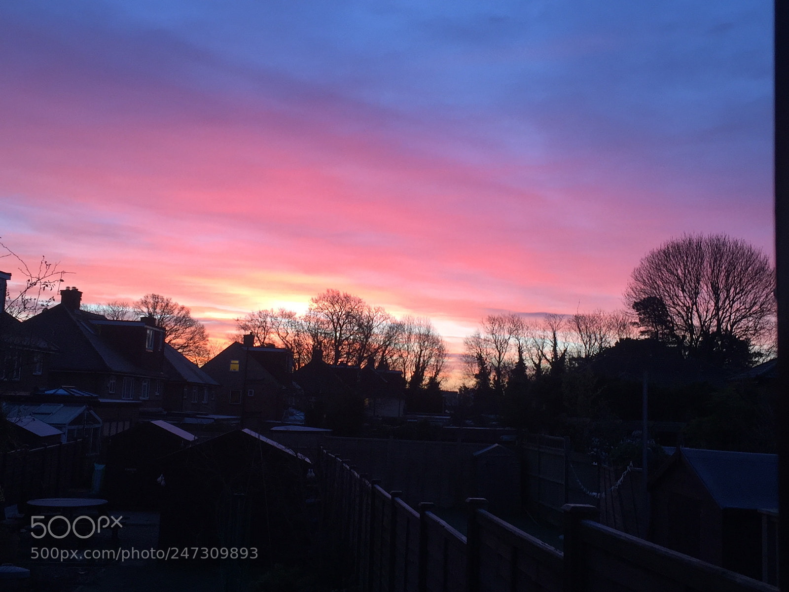 Apple iPhone 6 Plus sample photo. Early frosty morning photography
