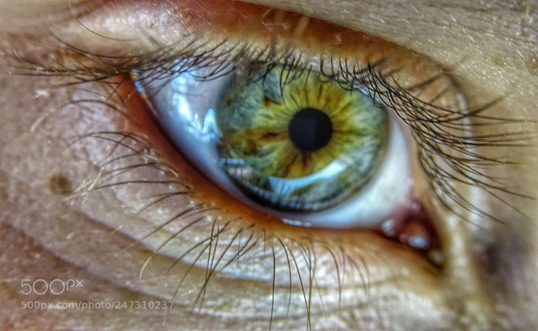 Sony Cyber-shot DSC-HX400V sample photo. Untitled photography