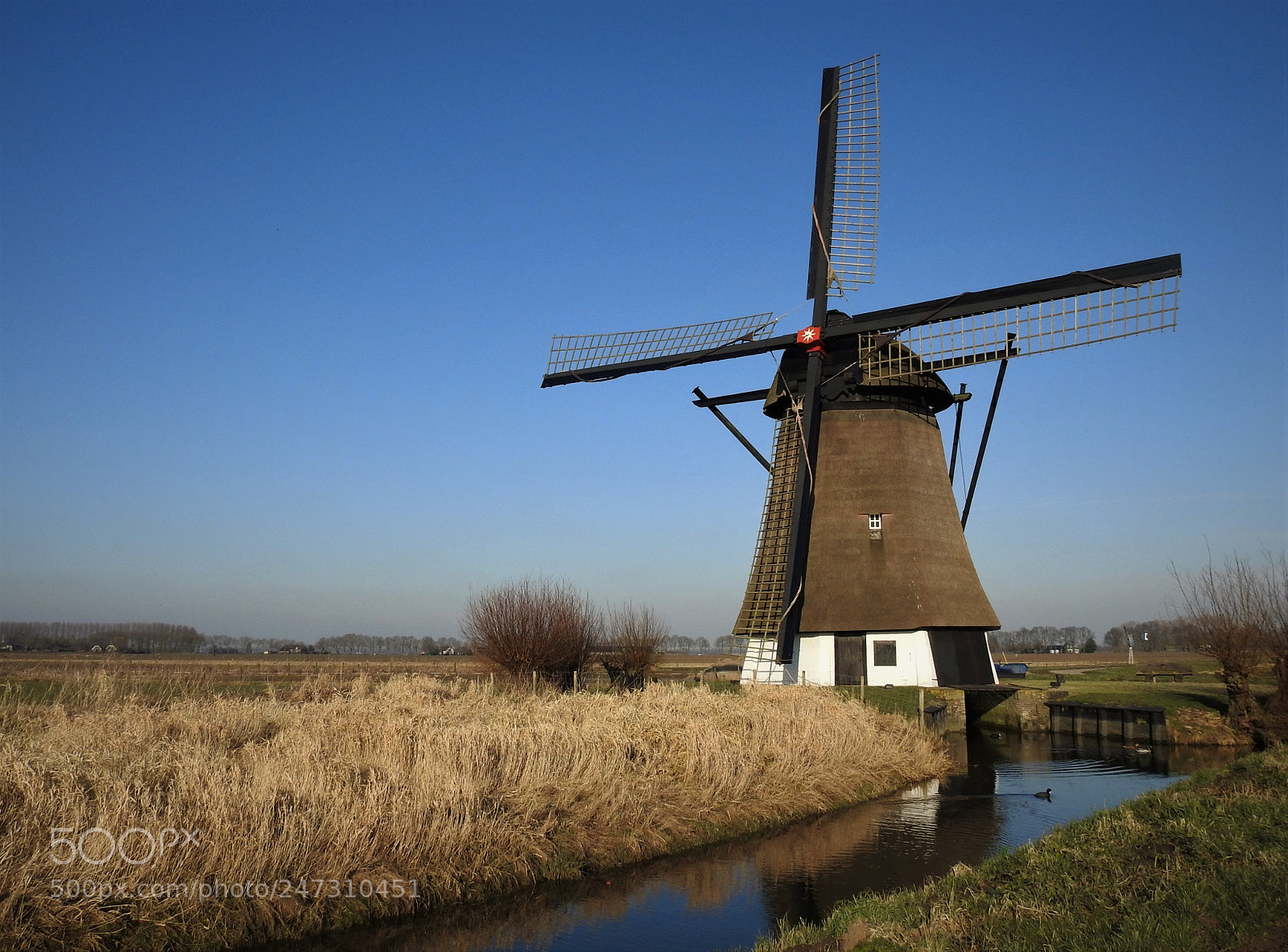Nikon Coolpix P900 sample photo. The "oude doornse molen" photography