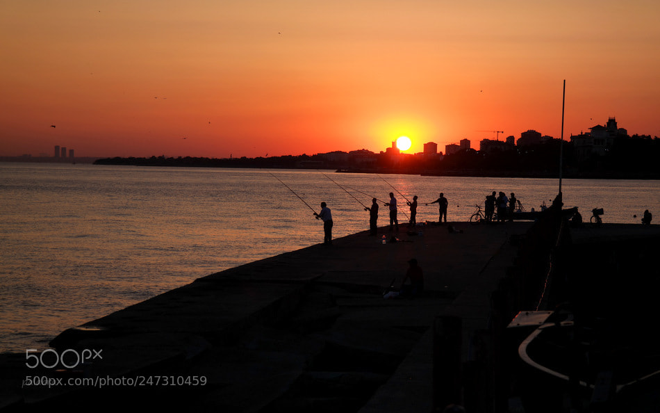 Samsung NX30 sample photo. ... photography