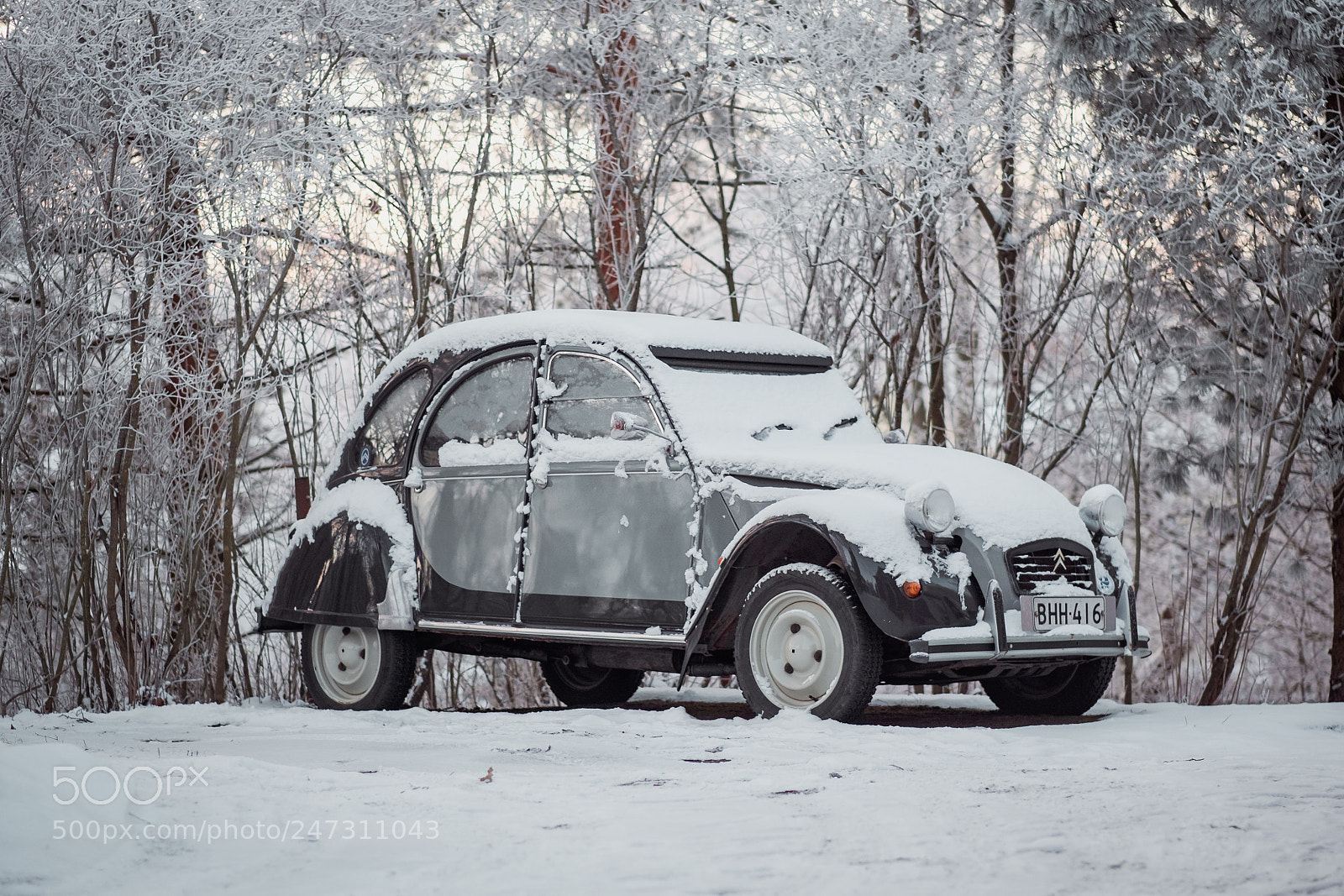 Fujifilm X-T1 sample photo. Cold citroen photography